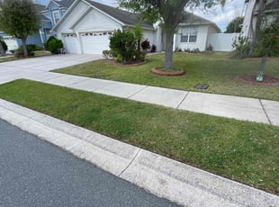 Ben A.'s Lawn Mowing service result