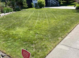 William W.'s Lawn Maintenance service result