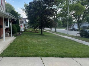 Tim M.'s Lawn Maintenance service result