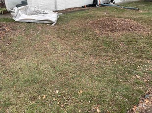 Leaf Removal by Evelyn Arteaga for Ken K. in Indianapolis, IN