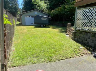Emmanuel P.'s Lawn Mowing service result