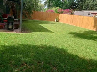Metroplex Homebuyers L.'s Lawn Mowing service result