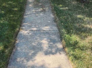Rebecca C.'s Yard Cutting service result