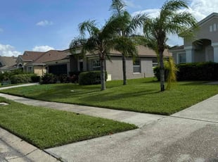 Vasilije S.'s Grass Cutting service result