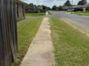 Olivia M.'s Lawn Mowing service result