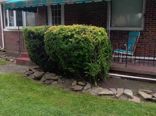 Bush Trimming by Wilton Pinder for Tricia G. in Buffalo, NY