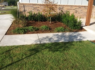 Weeding by Josefina Lopez for Chelsea M. in Edmond, OK