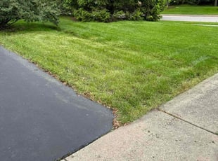 Michael G.'s Lawn Mowing Service service result