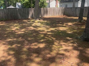 Leaf Removal by AL Edward's for Rhonda G. in Glen Allen, VA