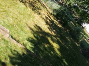 Cleanups by Matthew Rugg for Paul C. in Lansing, MI