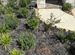 Weeding by Roberto Reyes for Phyllis B. in Katy, TX