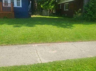 Marcus G.'s Lawn Mowing Service service result