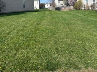 Adam S.'s Lawn Maintenance service result