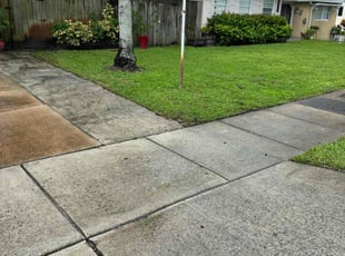 Terence C.'s Lawn Care service result