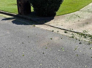 Bush Trimming by Jovon Braddy for Xavier W. in Atlanta, GA