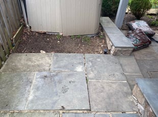 Cleanups by Rachel Hernandez for Nomadic R. in Alexandria, VA