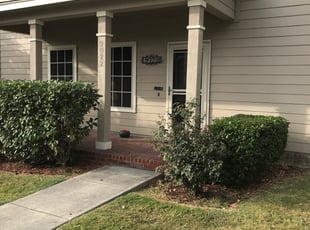 Bush Trimming by Miguel Garcia for Angel L. in San Antonio, TX