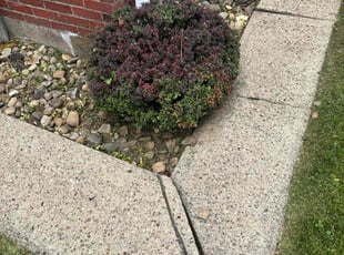 Bush Trimming by David Rasulov for Karen A. in McKeesport, PA