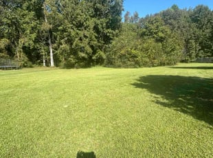 Tenesha H.'s Grass Cutting service result