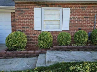 Bush Trimming by Terrence Hawkins for Trevor S. in Upper Marlboro, MD