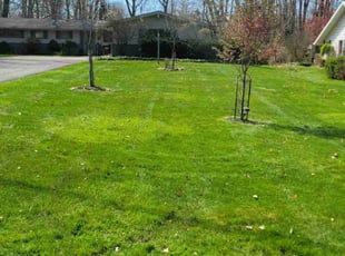 Carla P.'s Lawn Care service result