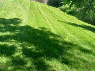 Jason A.'s Lawn Care service result