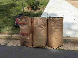 Weeding by David Peters for Xing Che Z. in Fairfax, VA