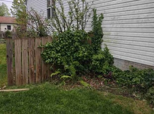 Bush Trimming by Daniel Bunch for Michael S. in Hilliard, OH