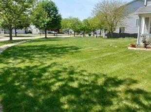 Rita C.'s Lawn Maintenance service result