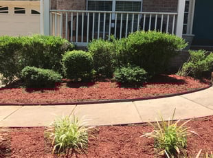 Weeding by Michael Gregory for Donna D. in Fort Mill, SC