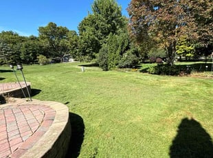 Mitch S.'s Lawn Mowing service result