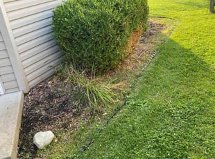 Weeding by Trey Johnson for Marla V. in Loveland, OH