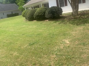 Bush Trimming by Johnathan Dockray for Aesha M. in Loganville, GA
