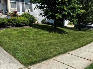 Sylvia R.'s Lawn Service service result