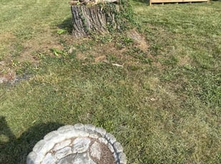 Bush Trimming by Tommie Long for Tammie D. in Indianapolis, IN