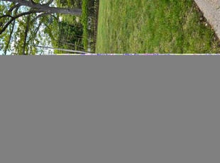 Leaf Removal by Joshua Post for Jasmine W. in Norton Shores, MI