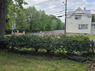 Bush Trimming by JosΓ© Urquijo for Francisco L. in Wayne, NJ