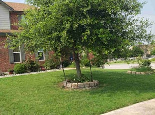 Ozzy D.'s Lawn Mowing service result