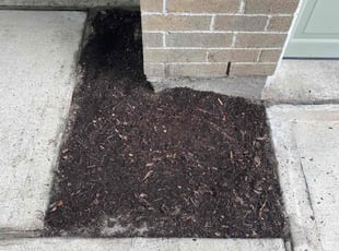 Weeding by David Hobson for Chris C. in Spring, TX