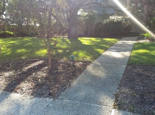Leaf Removal by Jason Westgor for John S. in San Antonio, TX