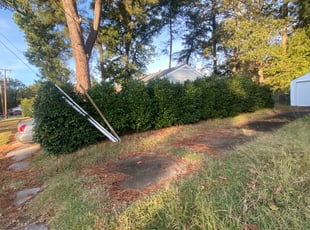 Bush Trimming by Karla Noor for Richard F. in Chesapeake, VA