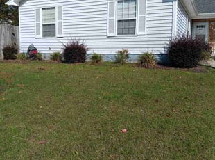 Bush Trimming by Kelvin Gooding for Dan S. in Virginia Beach, VA