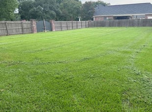 Donald l.'s Lawn Mowing service result