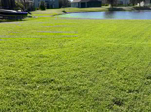 Cheryl E.'s Yard Cutting service result
