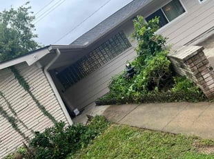 Bush Trimming by Paz Silva for Tucker B. in Houston, TX