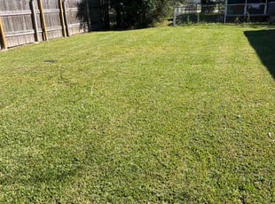 Lourd A.'s Lawn Mowing Service service result