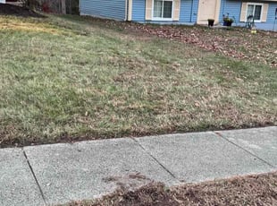 Leaf Removal by Carlos Alba for Olivia R. in Springfield, VA