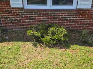 Bush Trimming by Greg Bush for Cal G. in Upper Marlboro, MD