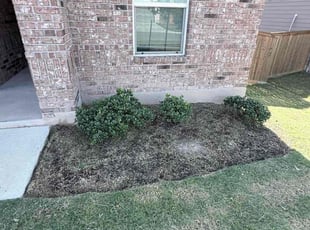 Weeding by Isabel López for Dejon H. in Jarrell, TX