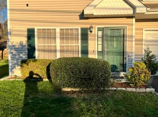 Bush Trimming by Walther MuΓ±oz for Andre G. in Bridgeport, CT
